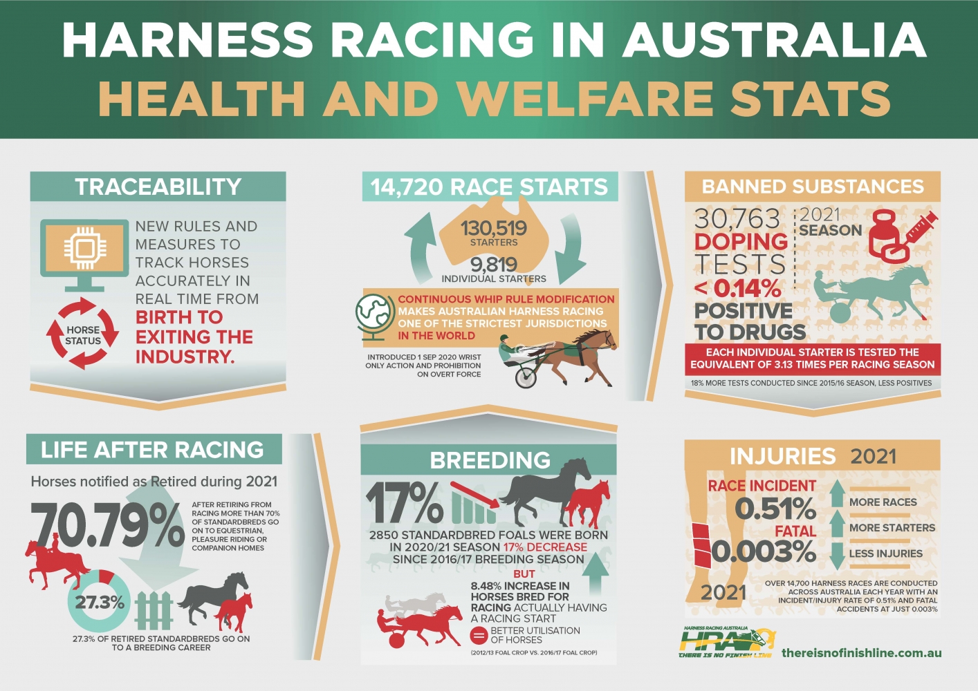 EQUINE welfare