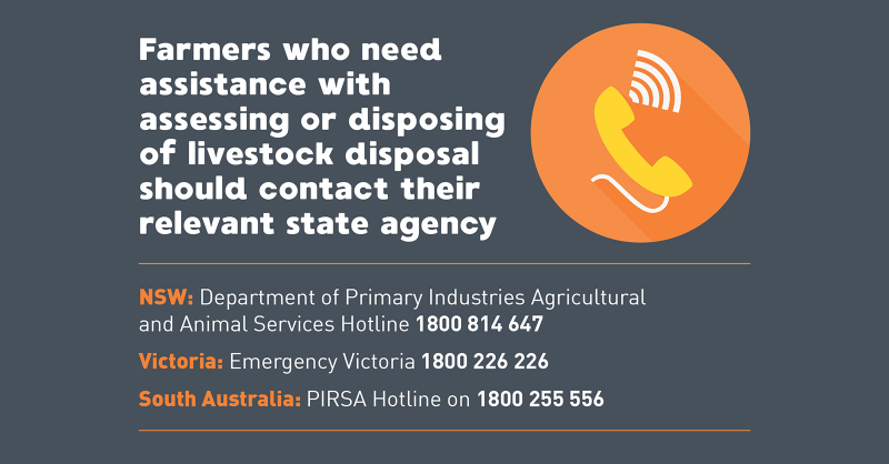 AHA Disposal assistance Bushfires Infographics4 TW