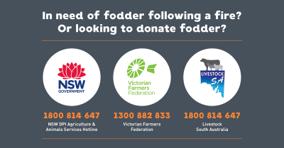 AHA Fodder assistance Bushfires Infographics3 TW