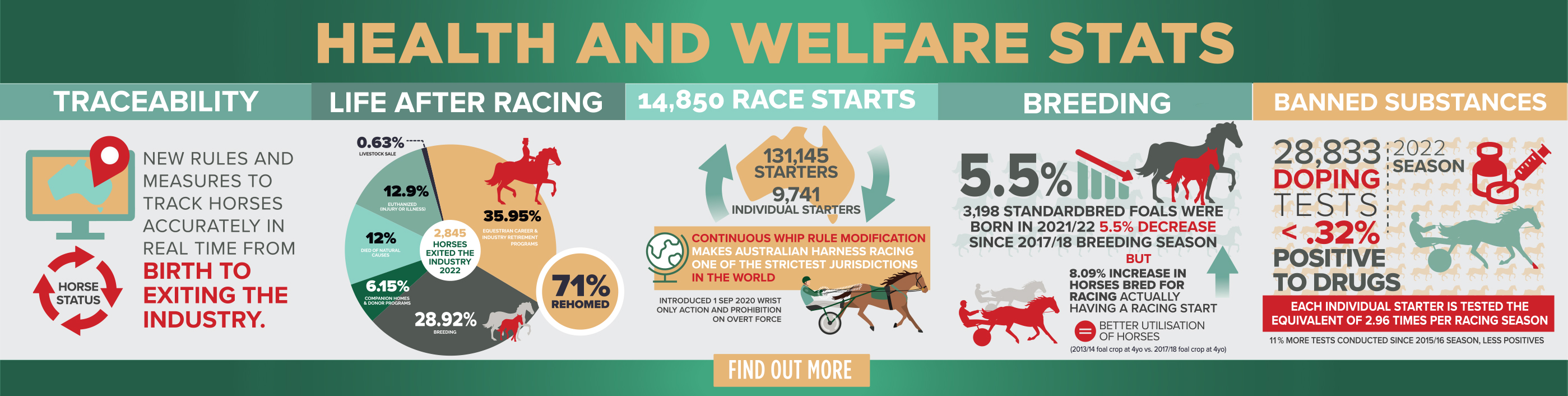 Harness Racing Infographic Slide